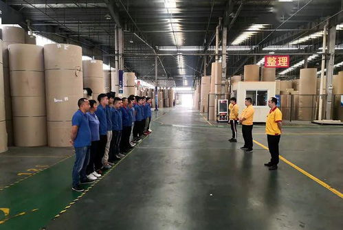 花園建材榮膺東陽市中小企業(yè)市長(zhǎng)科技創(chuàng)新獎(jiǎng)，引領(lǐng)行業(yè)綠色轉(zhuǎn)型新篇章